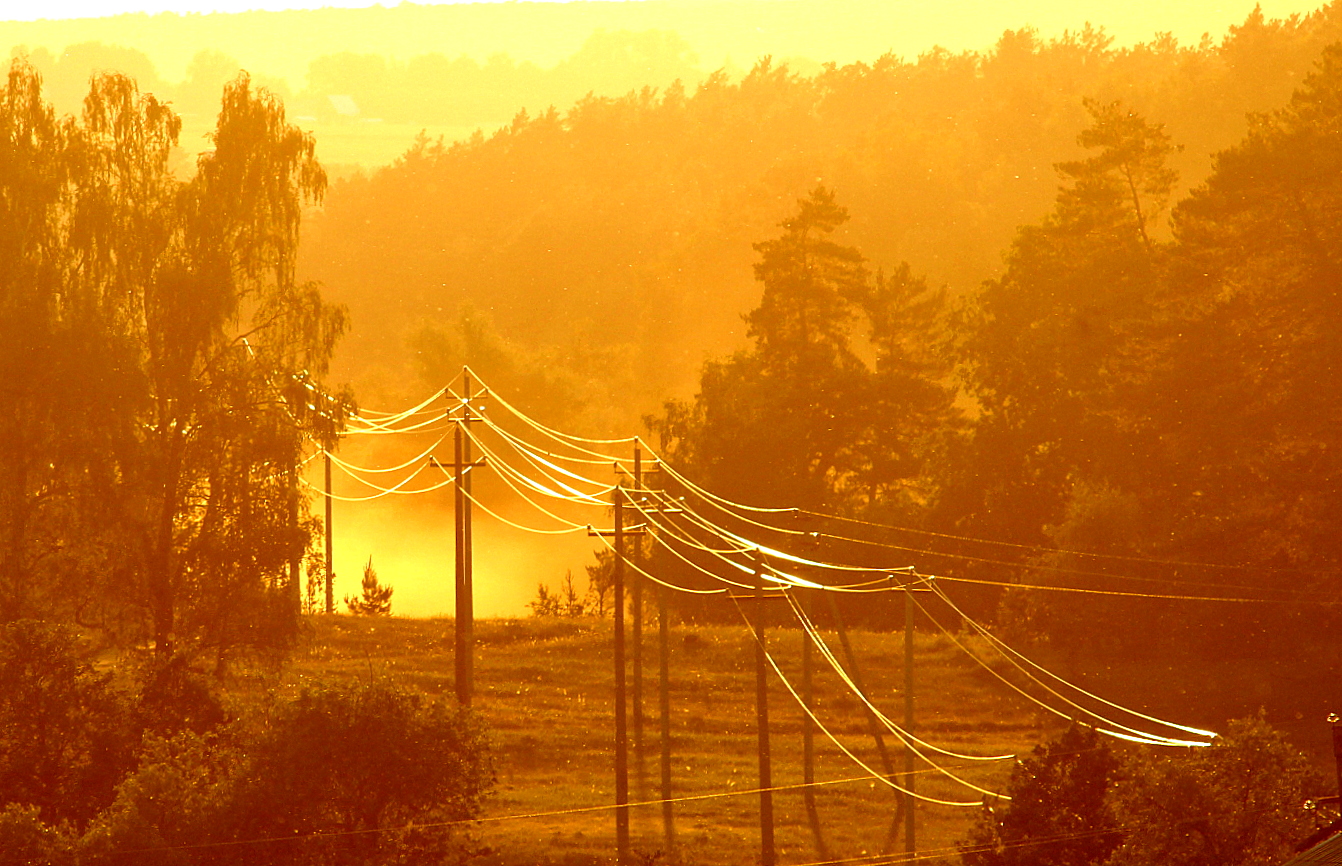В лучах заката!