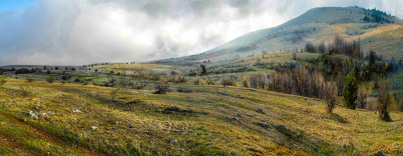 Природа. Этюд