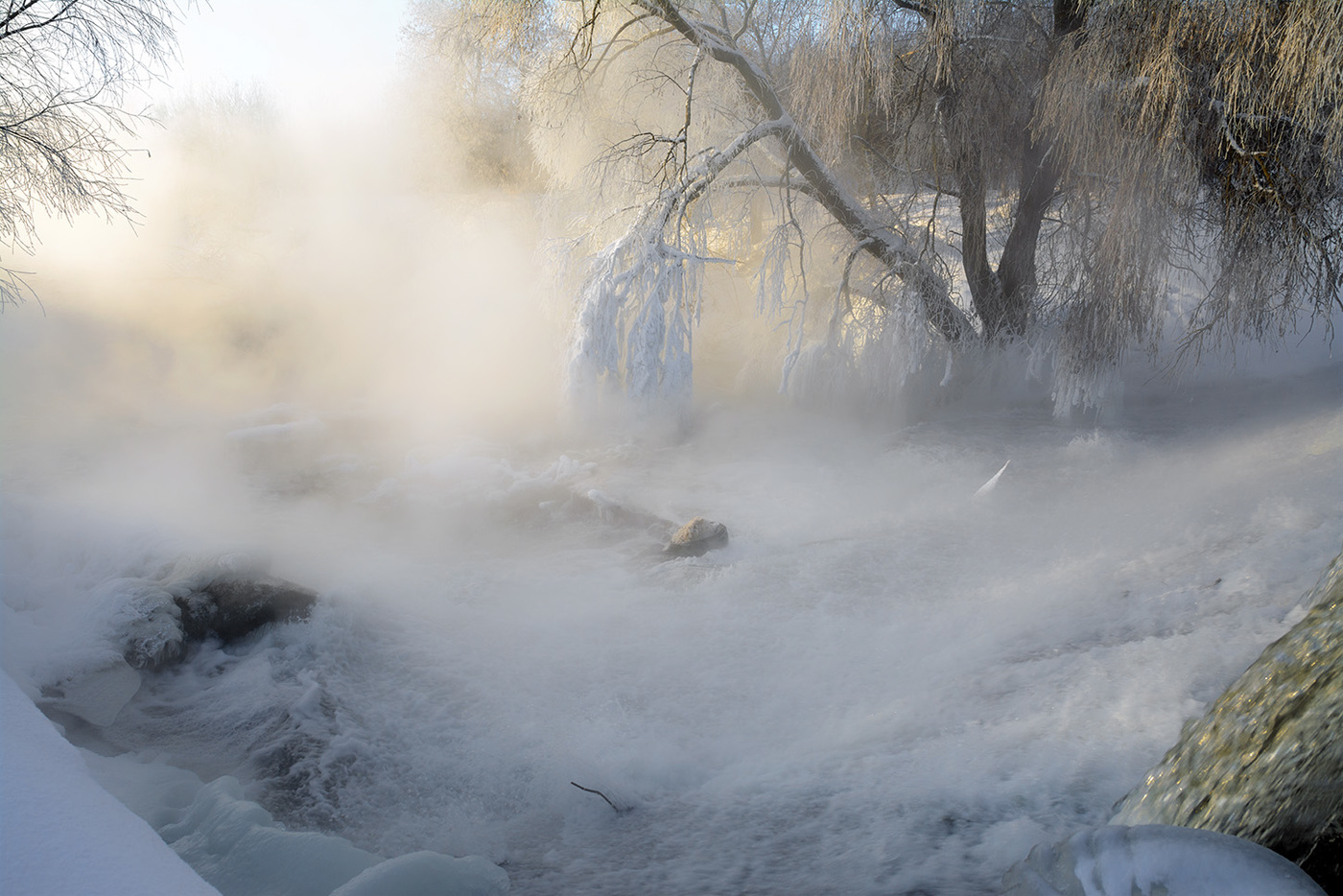Здесь живут туманы.