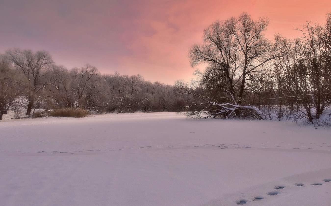 Февральский вечер
