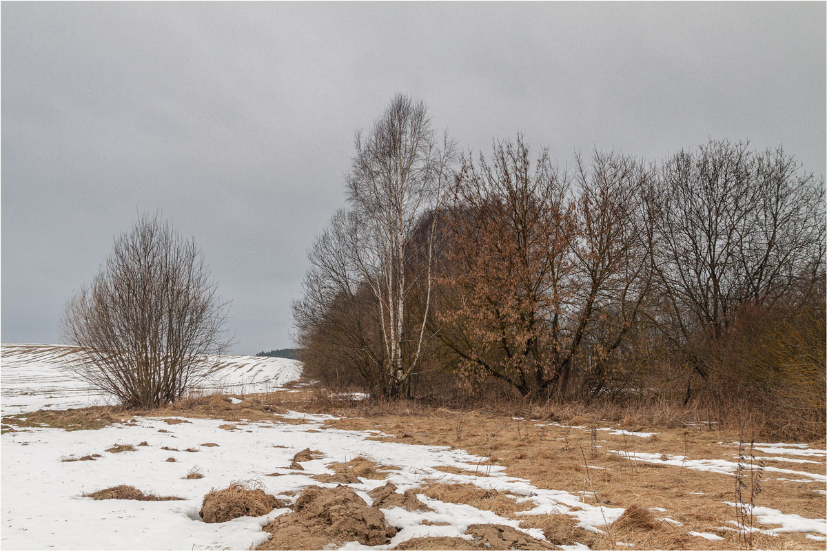 Февральский денек