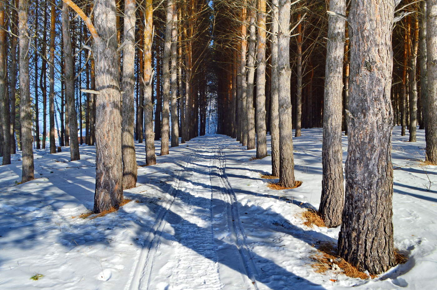 конец февраля