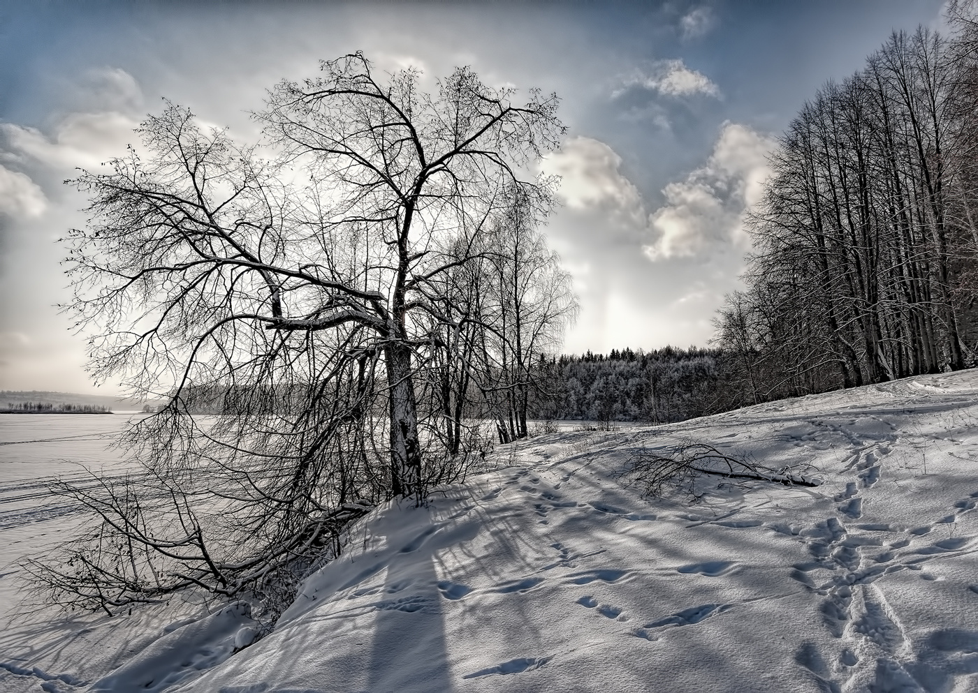 Полуденные тени