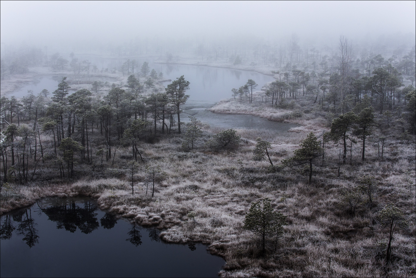 Болотные дали