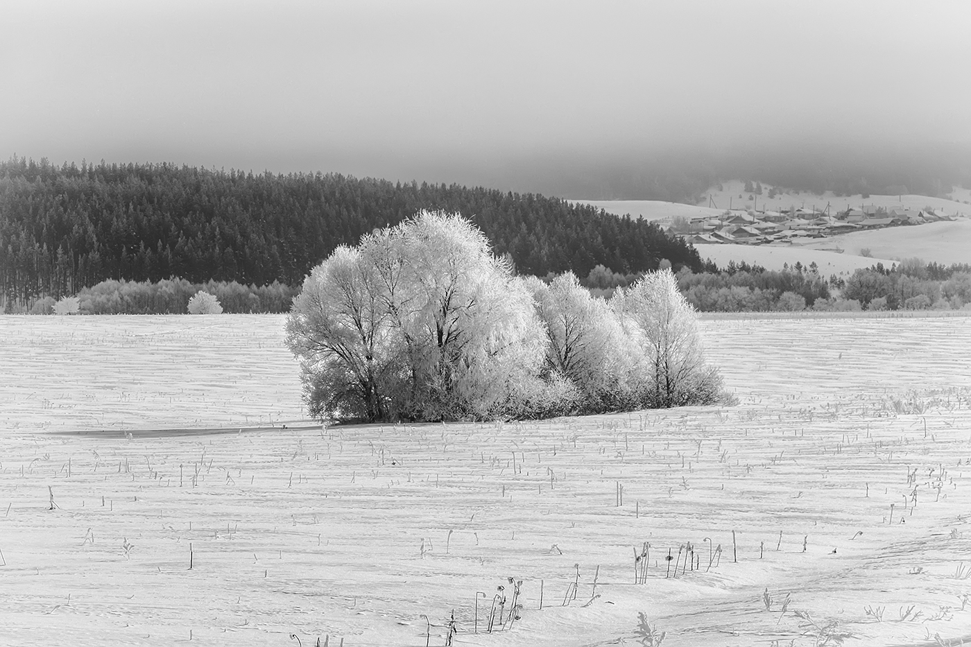 Перед снегопадом