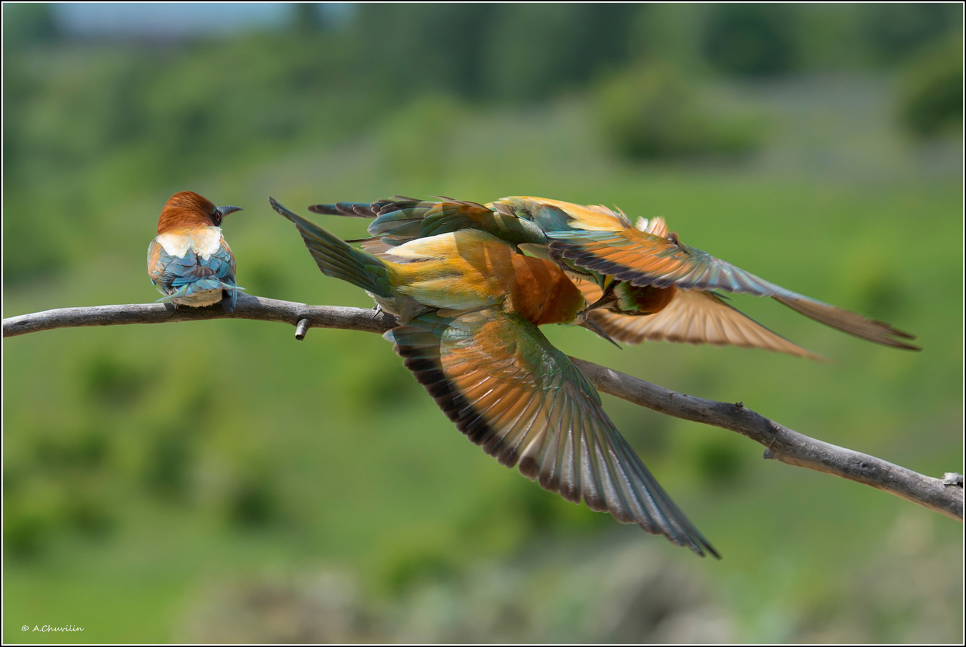 Не при делах