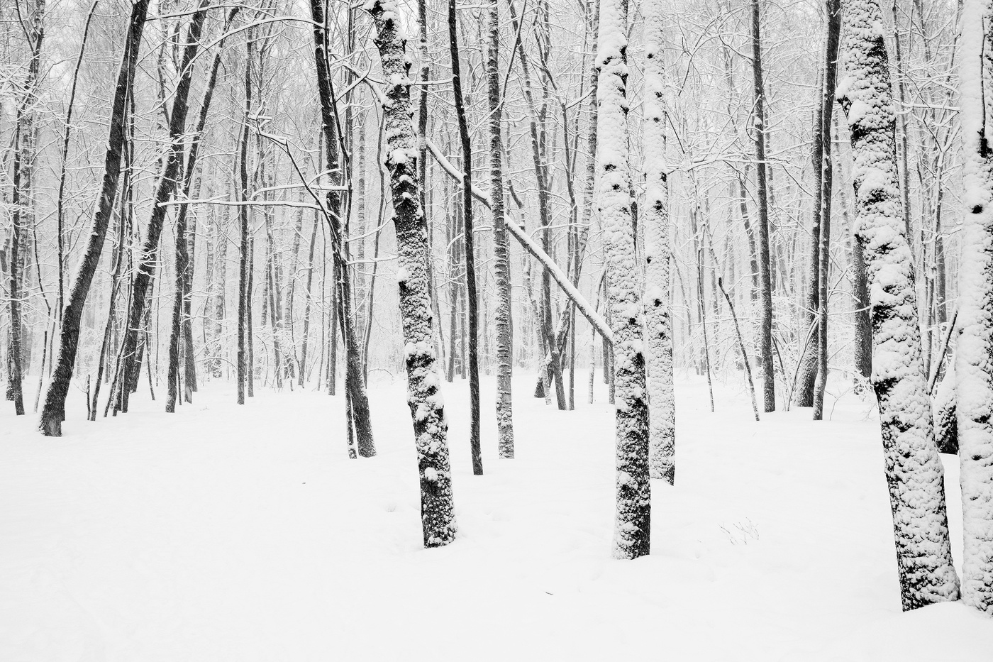 "Мело, мело по всей земле, во все пределы ..."