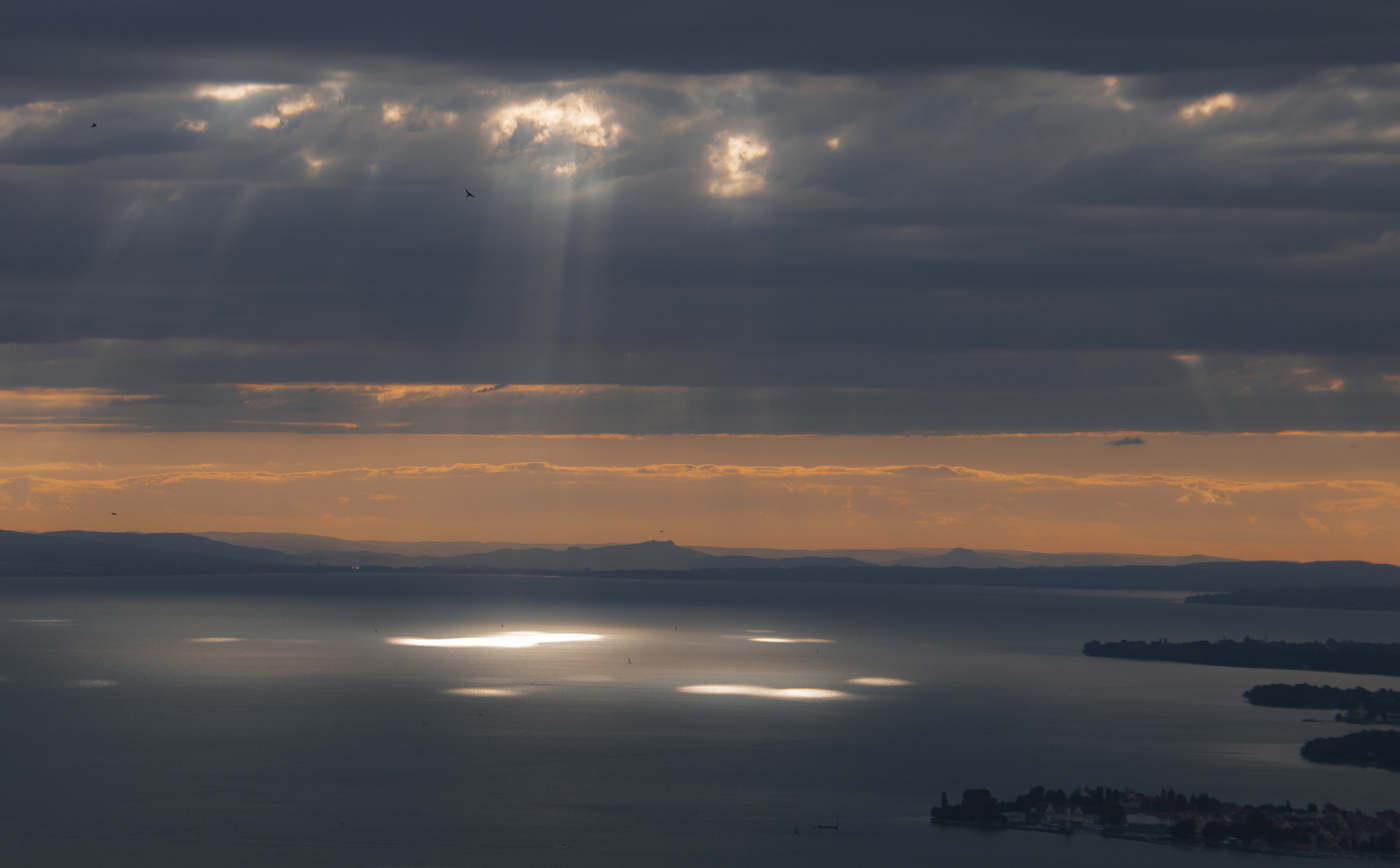 Солнечный не зайчик