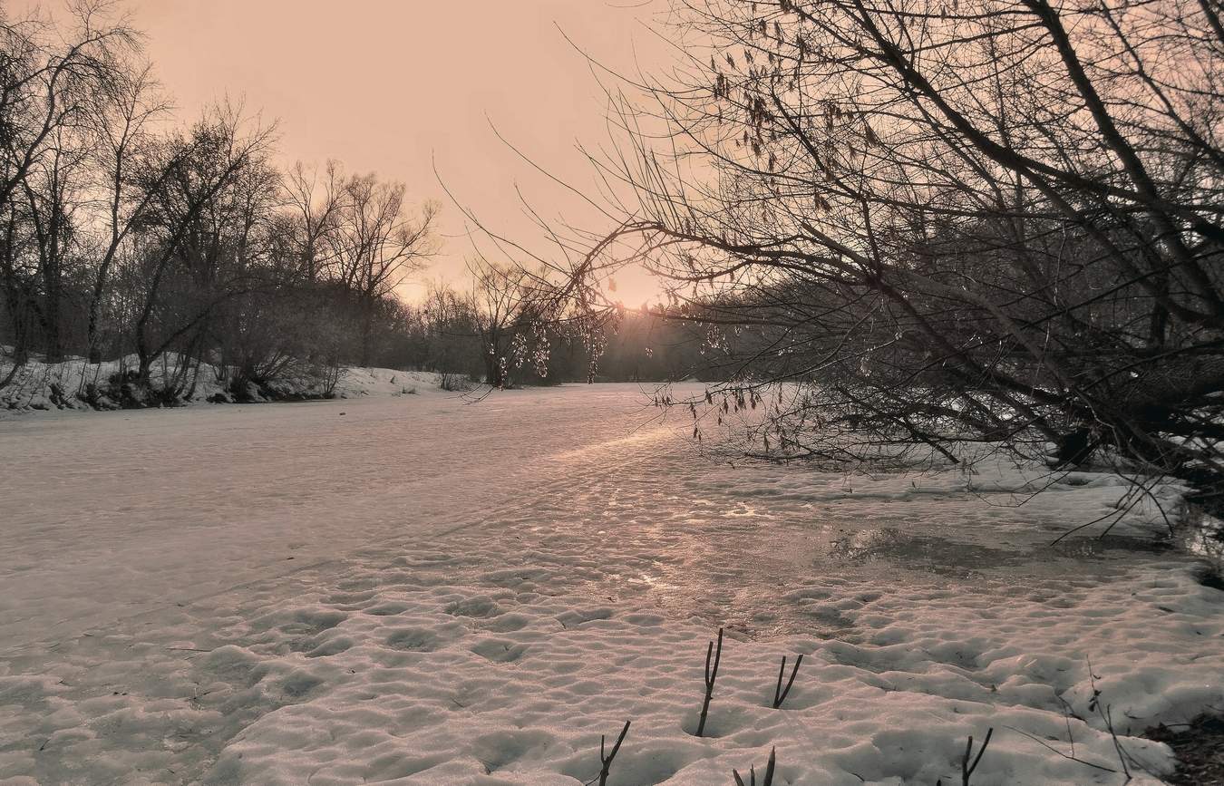 Солнечный не зайчик