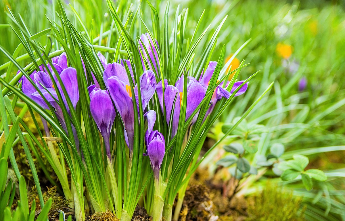 Первый день весны