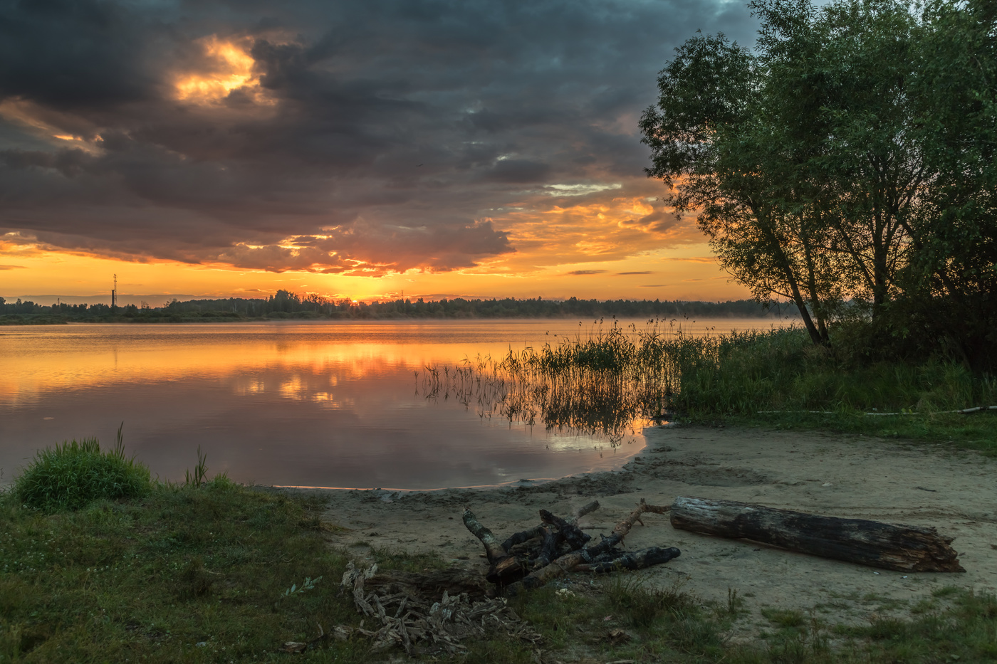 Солнечный не зайчик