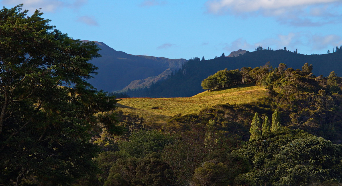 Солнечный не зайчик