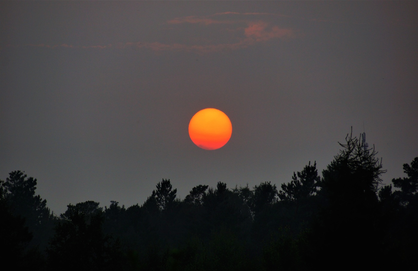 Солнечный не зайчик