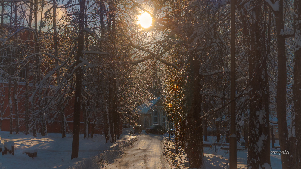Солнечный не зайчик