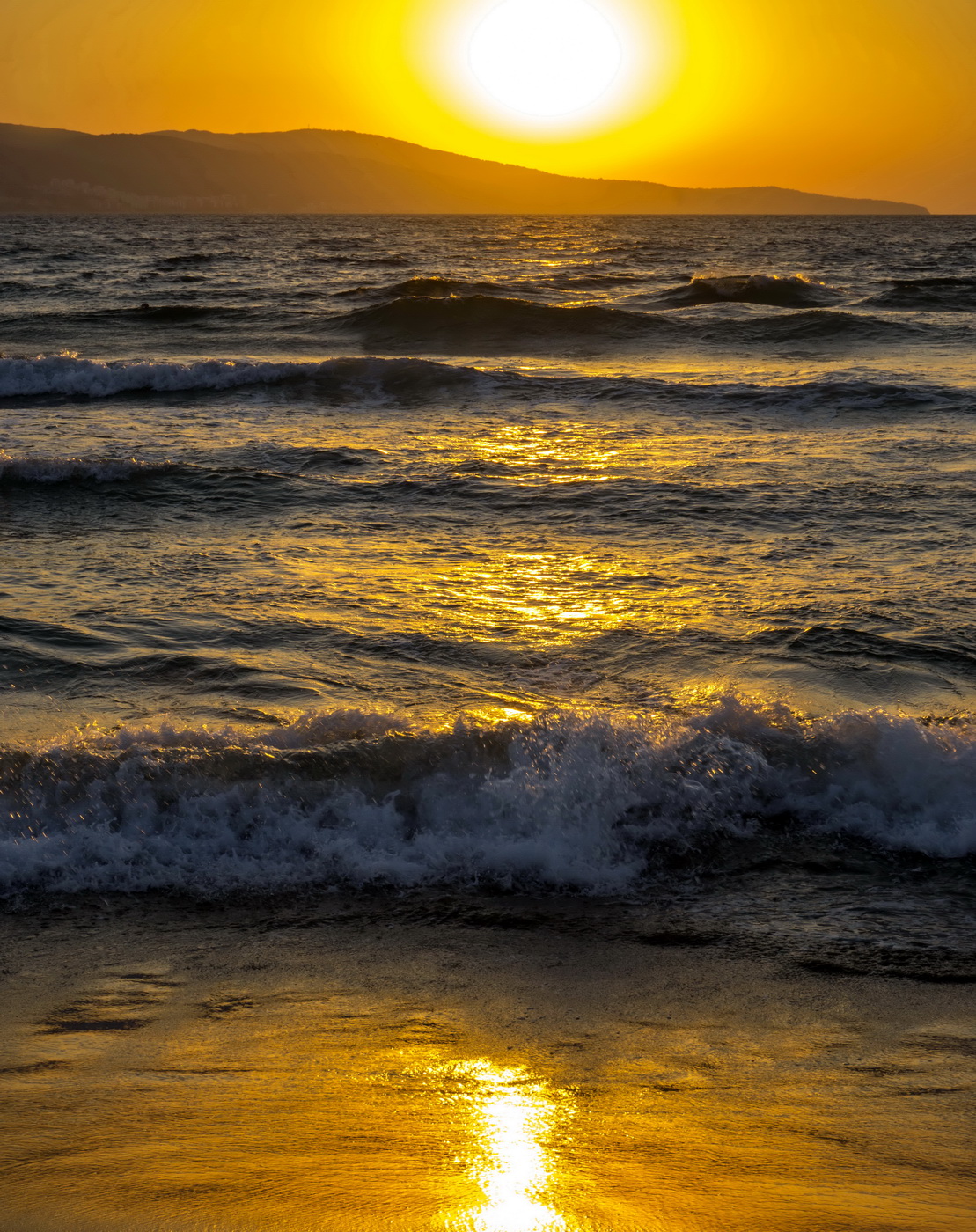 Солнечный не зайчик