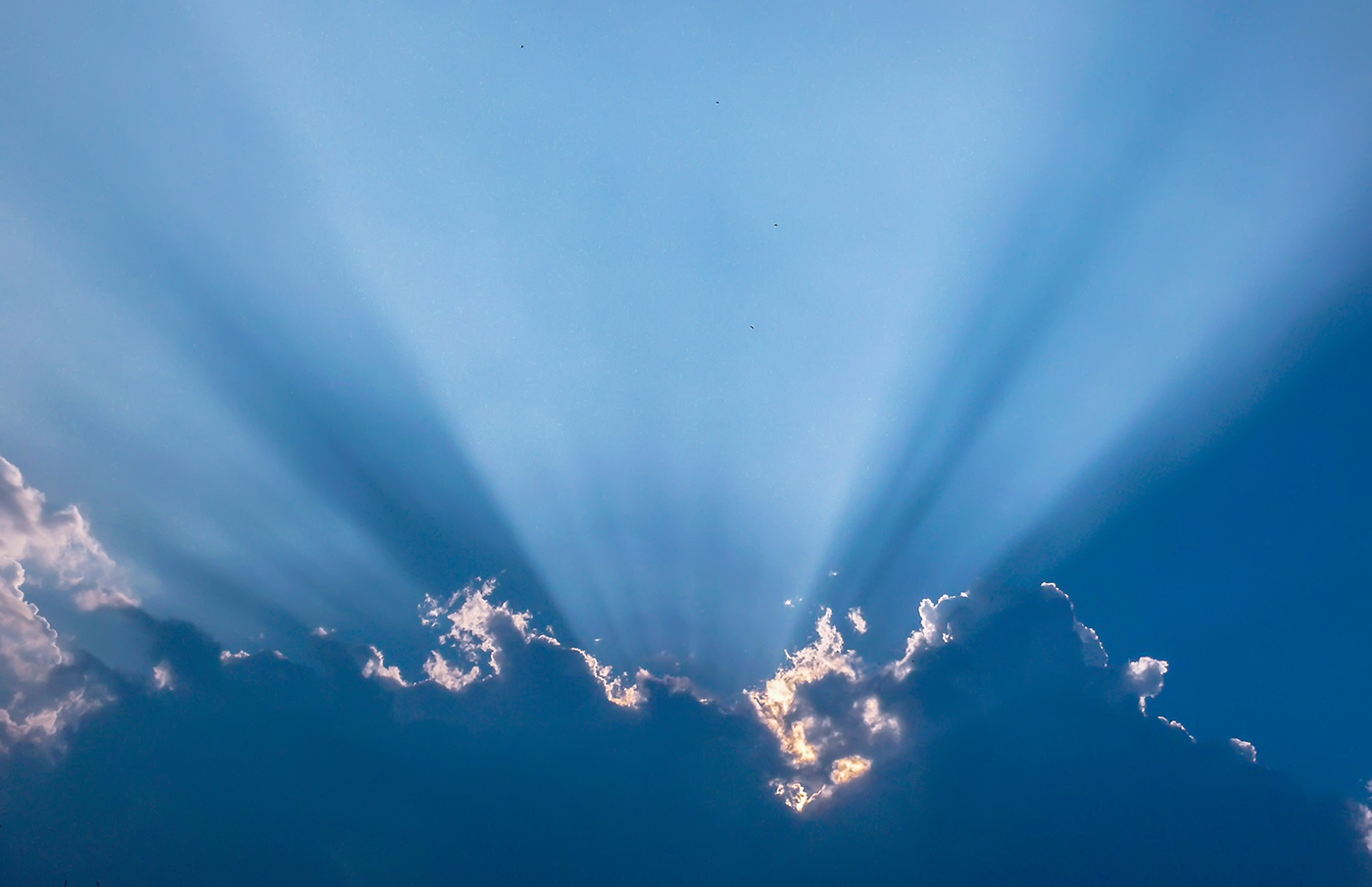 Солнечный не зайчик