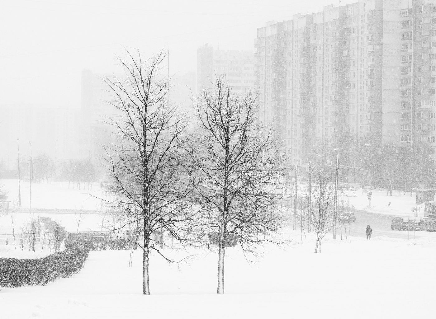 "Расстилает метель снеговую постель ..."