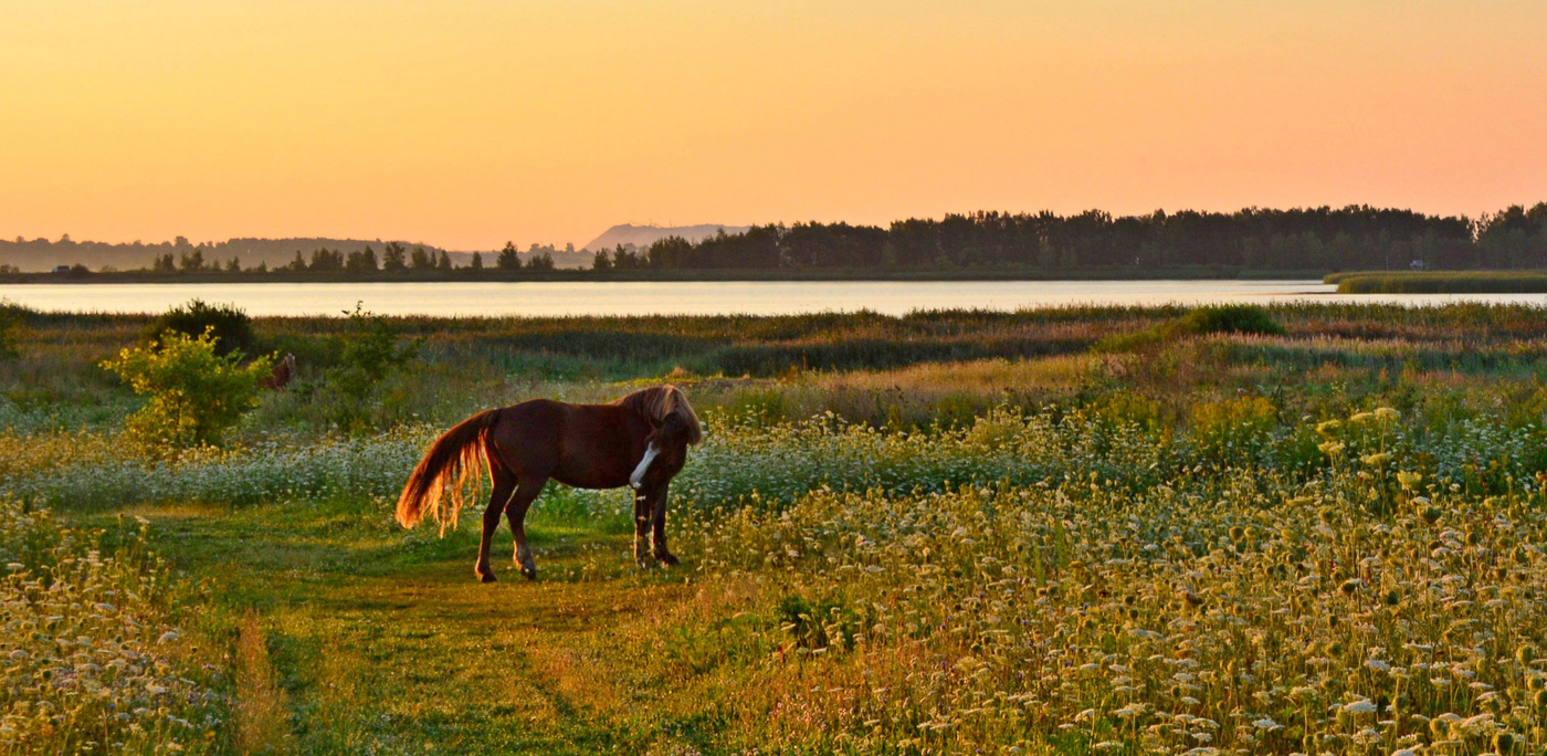 Солнечное утро