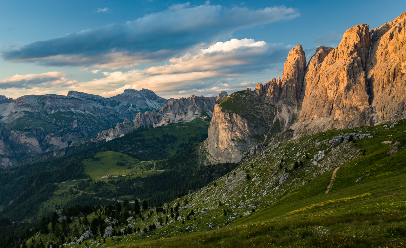 Застывшие перья
