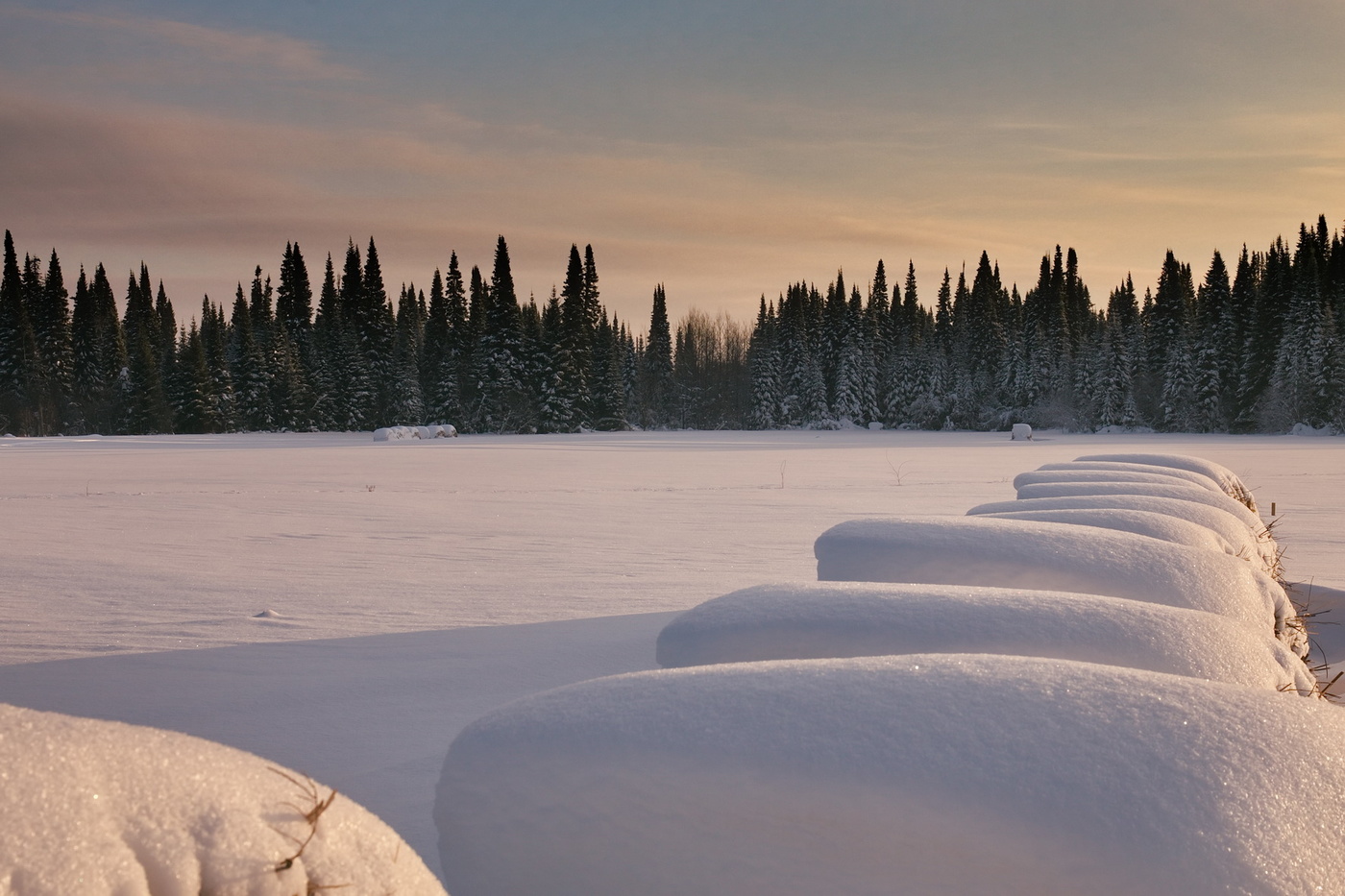 Ритмы зимы.