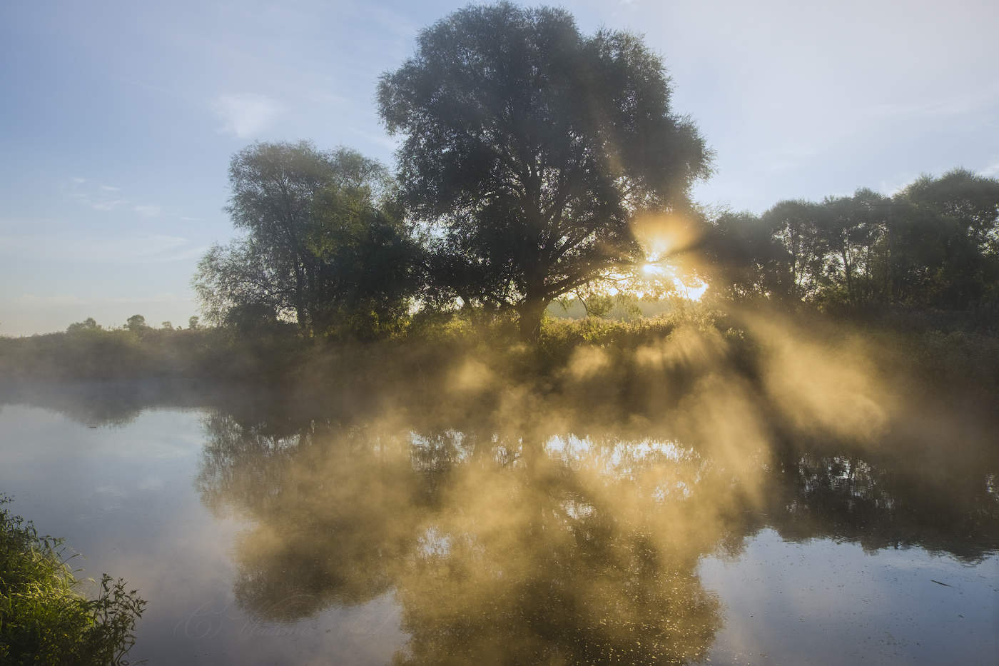 Солнечные лучи