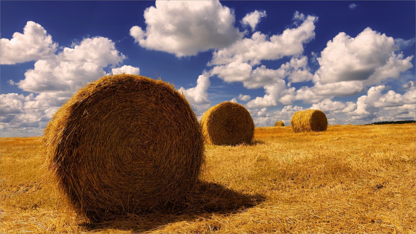 Жара на Яблоневый Спас.