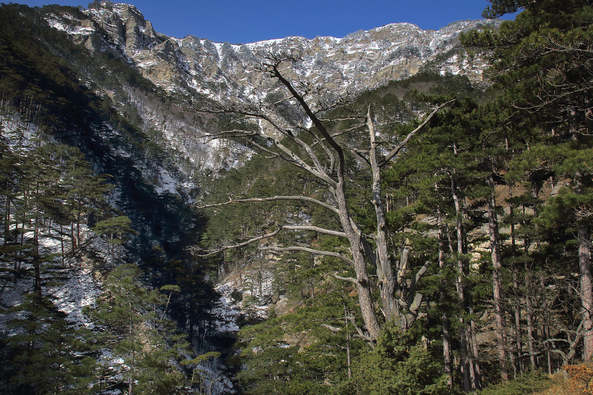 Ущелье реки Водопадная