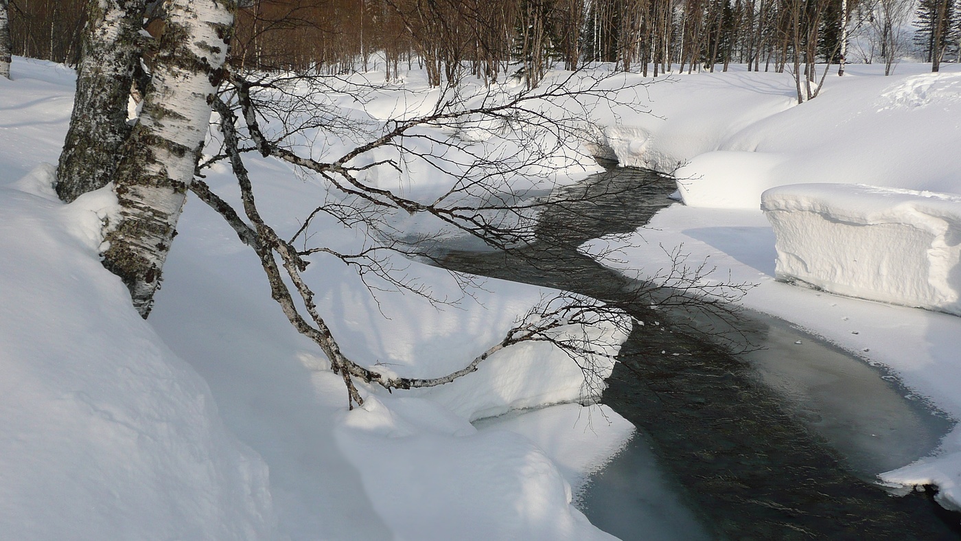 Весна пришла!