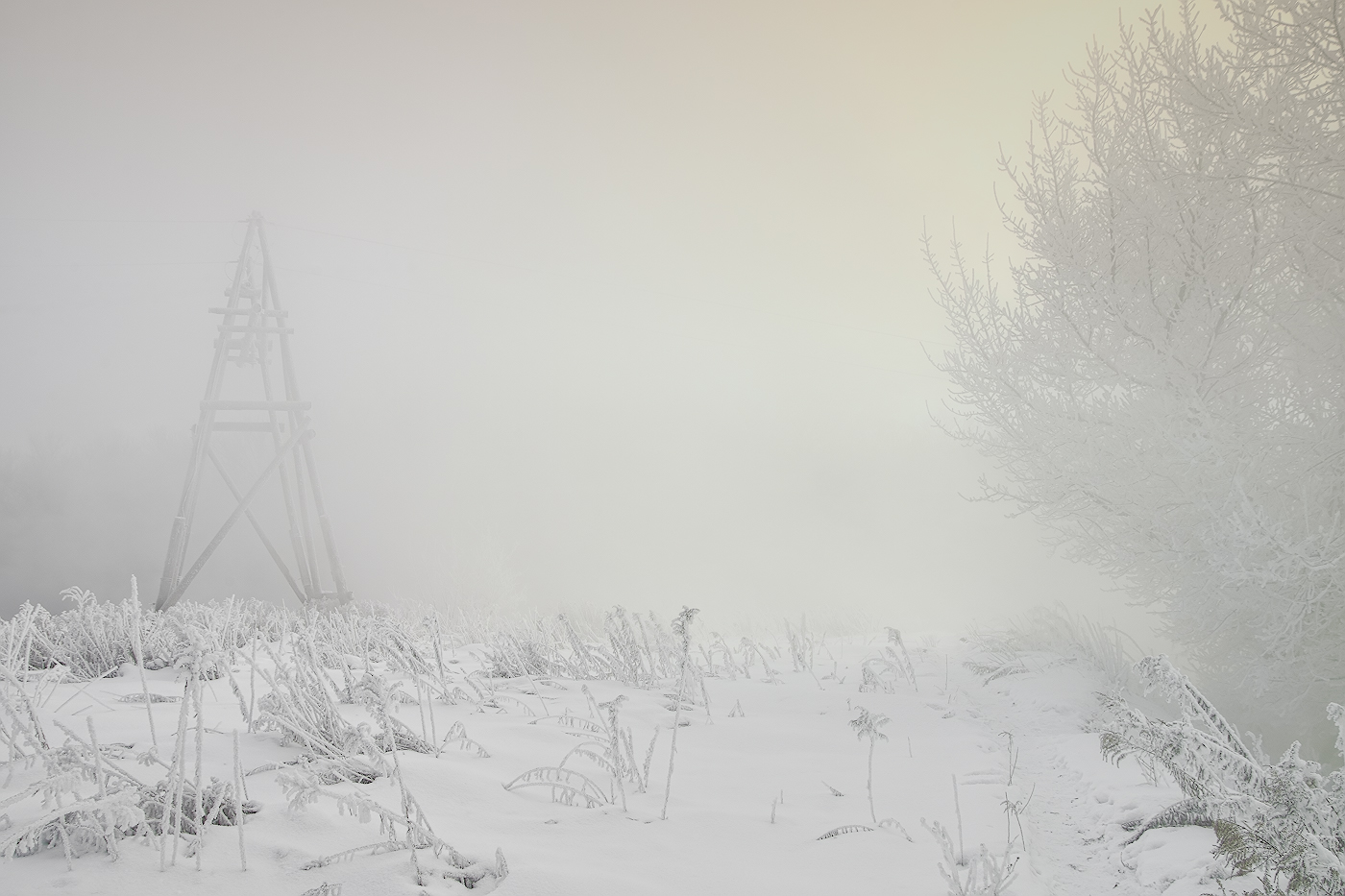 Морозные "украшательства"