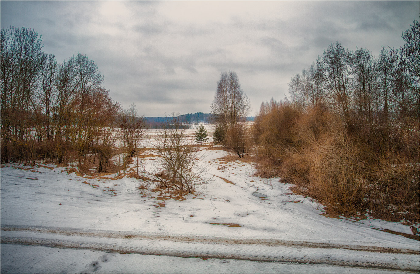 Февральская прогулка