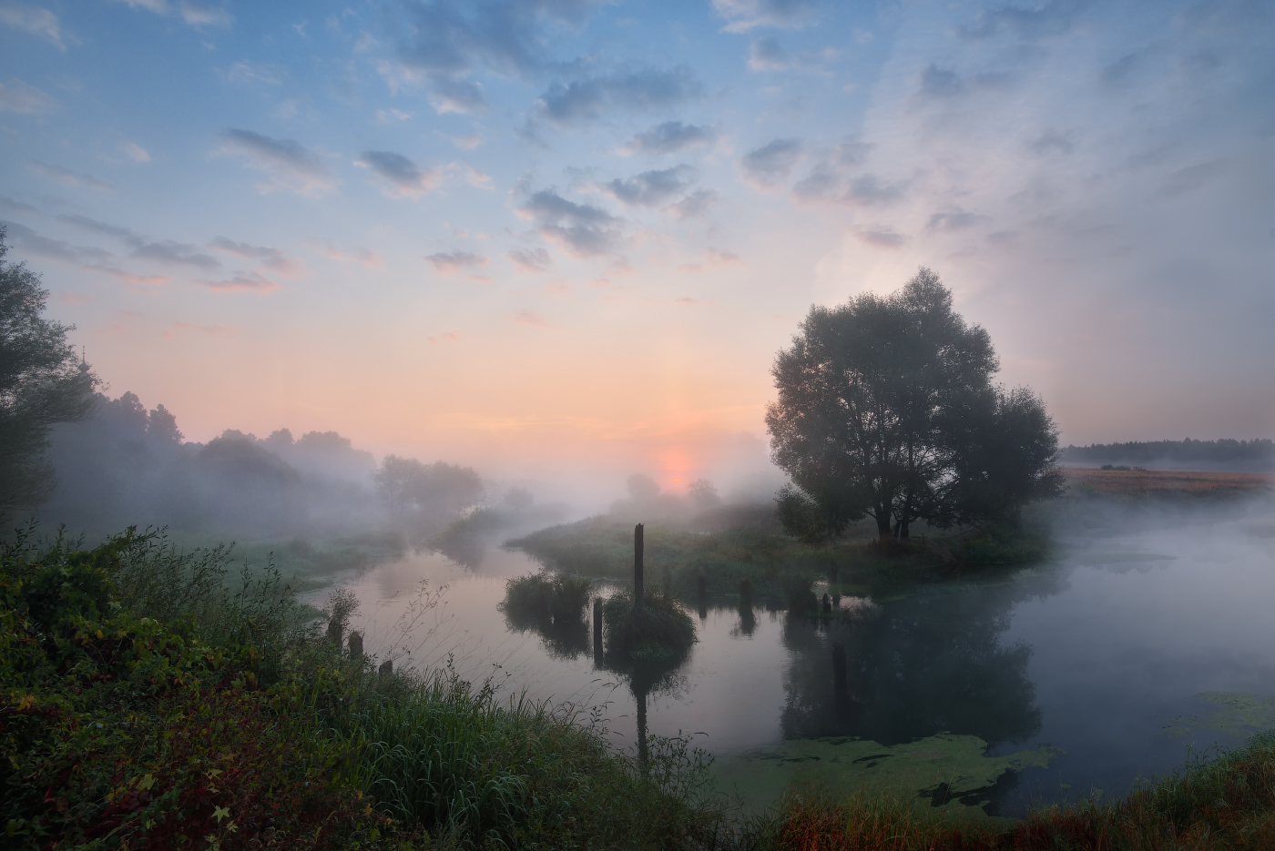 туманное утро