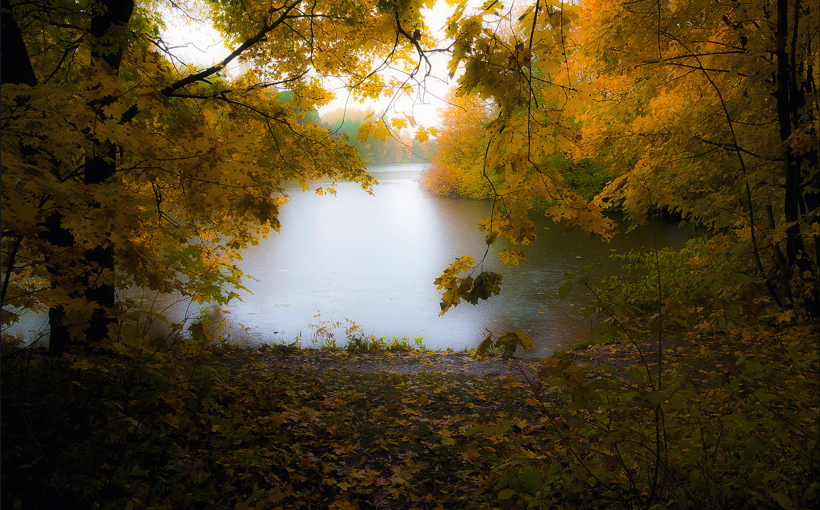 мимо проходил