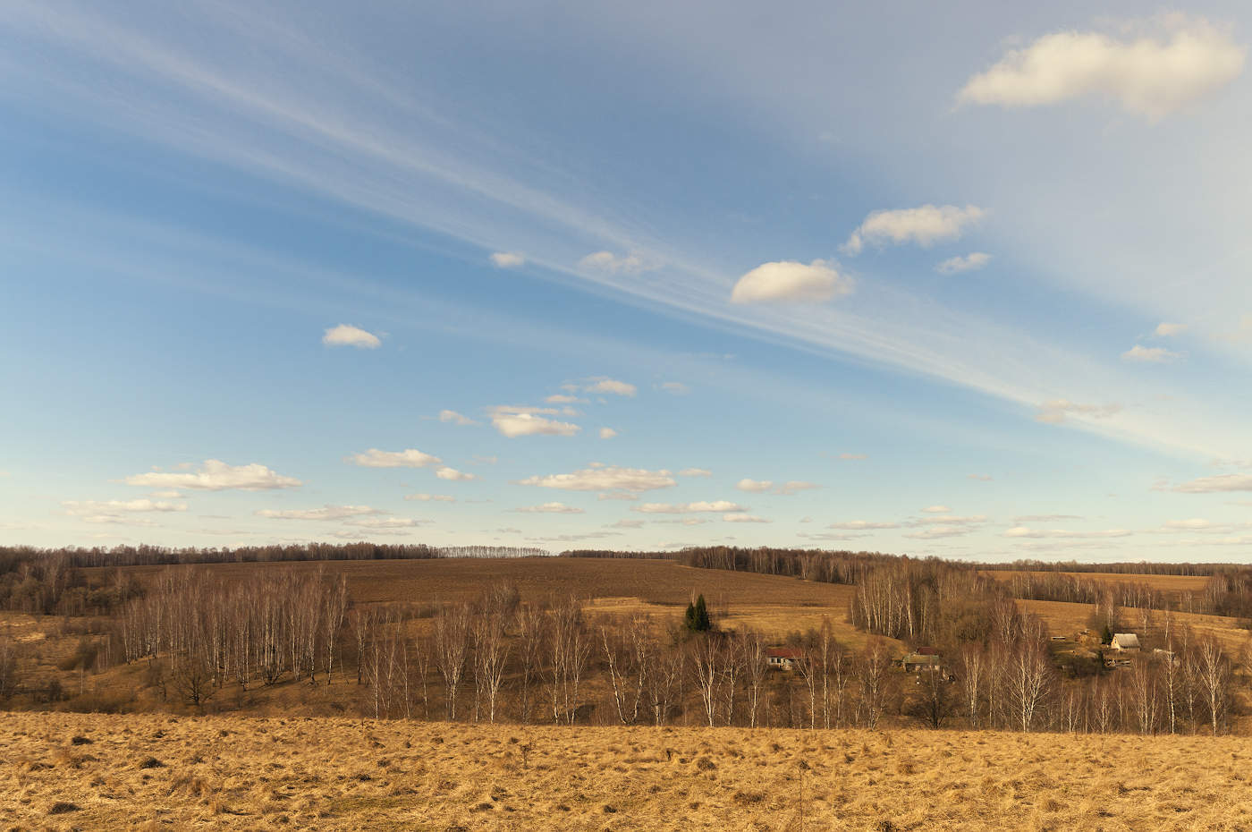 Поле в ожидании зелени