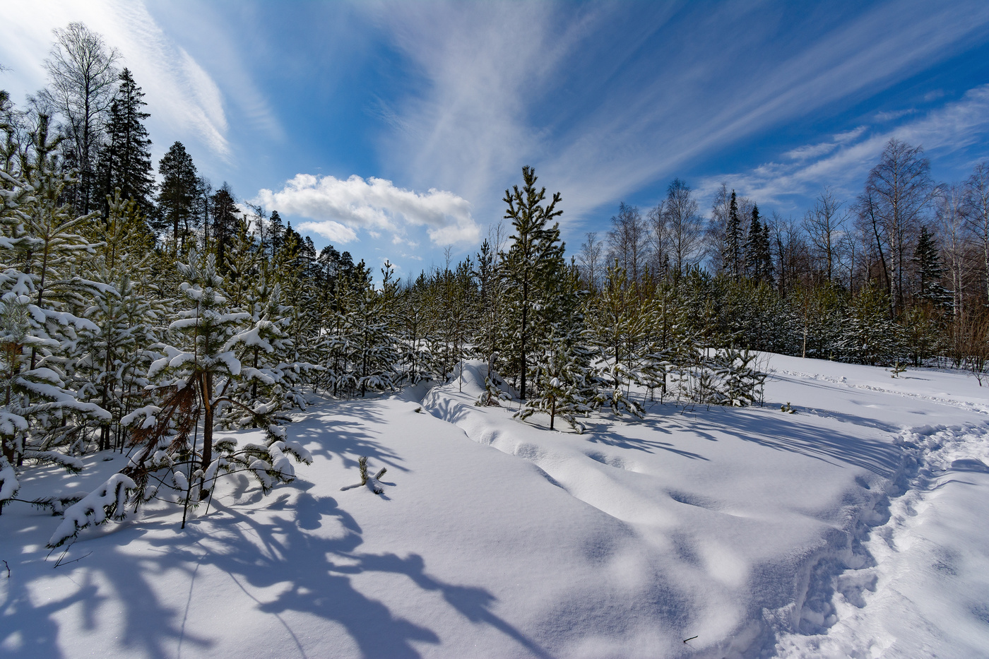 А в небесах в живой лазури неповторимо яркий вид