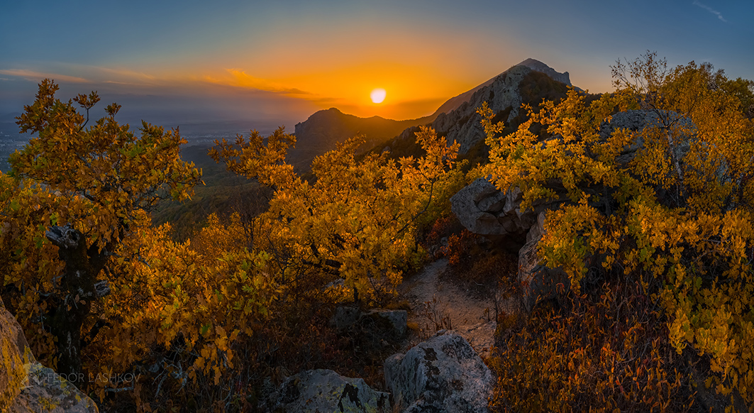 Место под солнцем