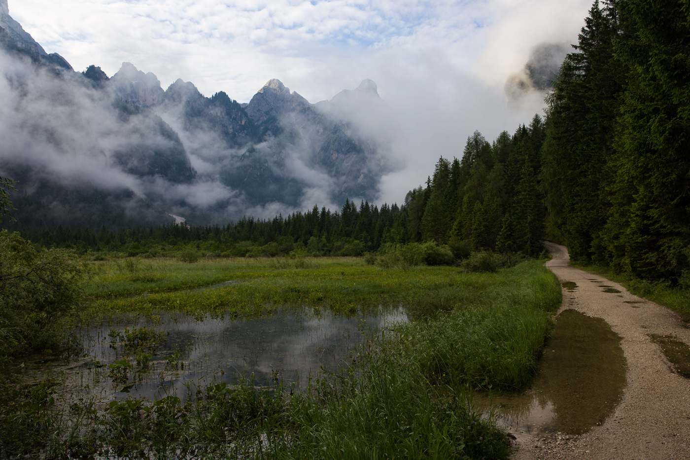 После ночного дождя