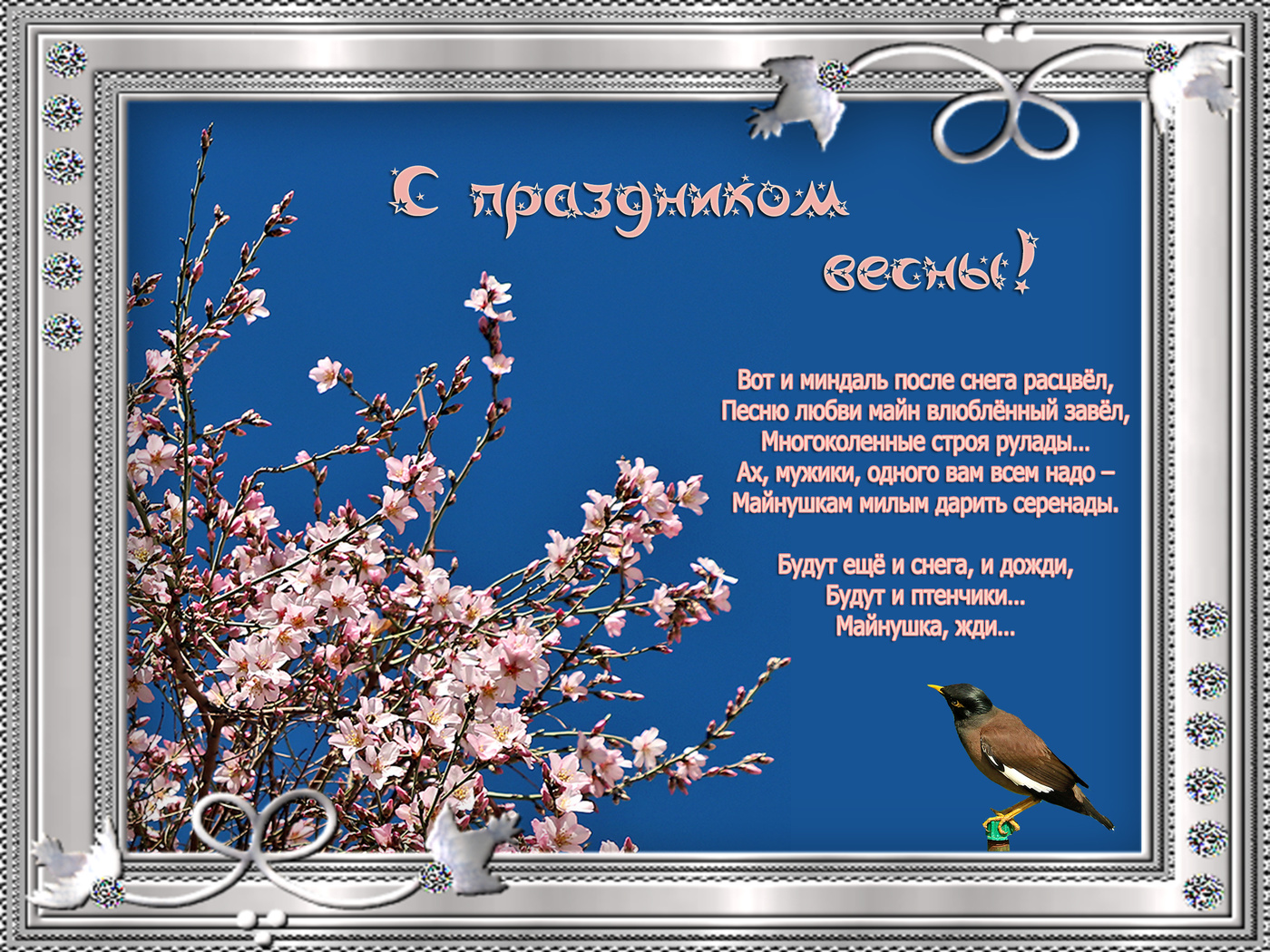 С праздником, милые женщины!