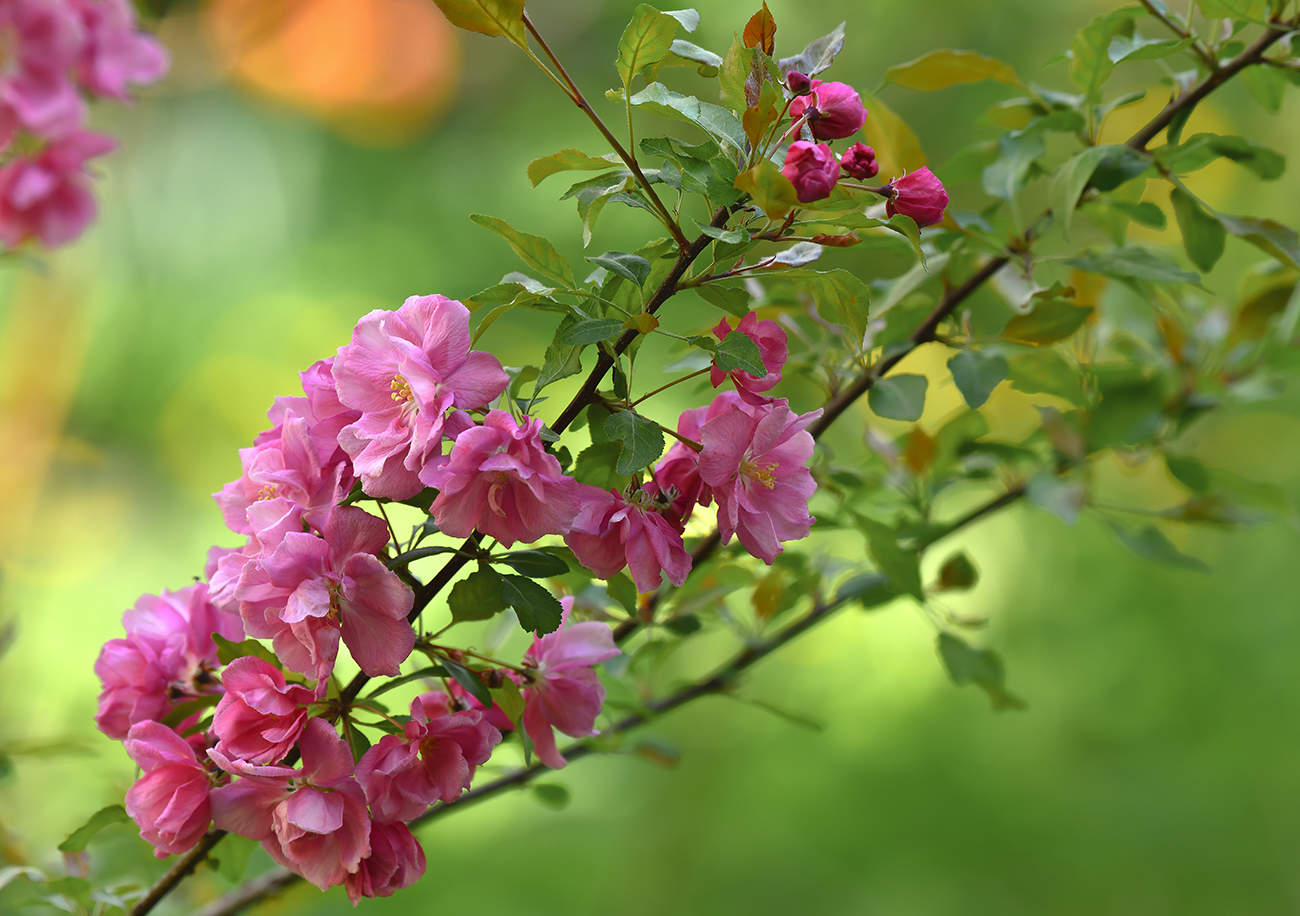 С праздником!!!