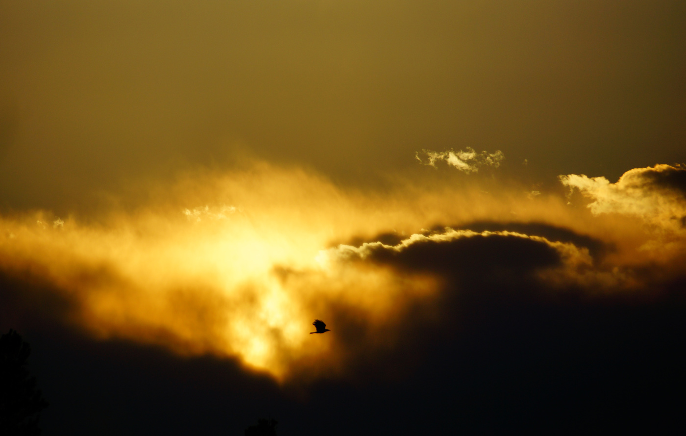 Призрачно все