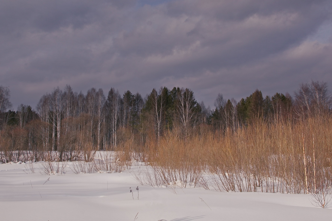Скоро весна.