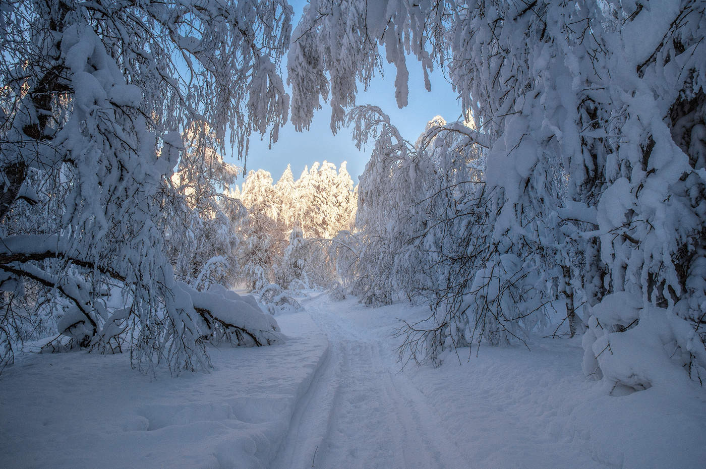 Путь к свету