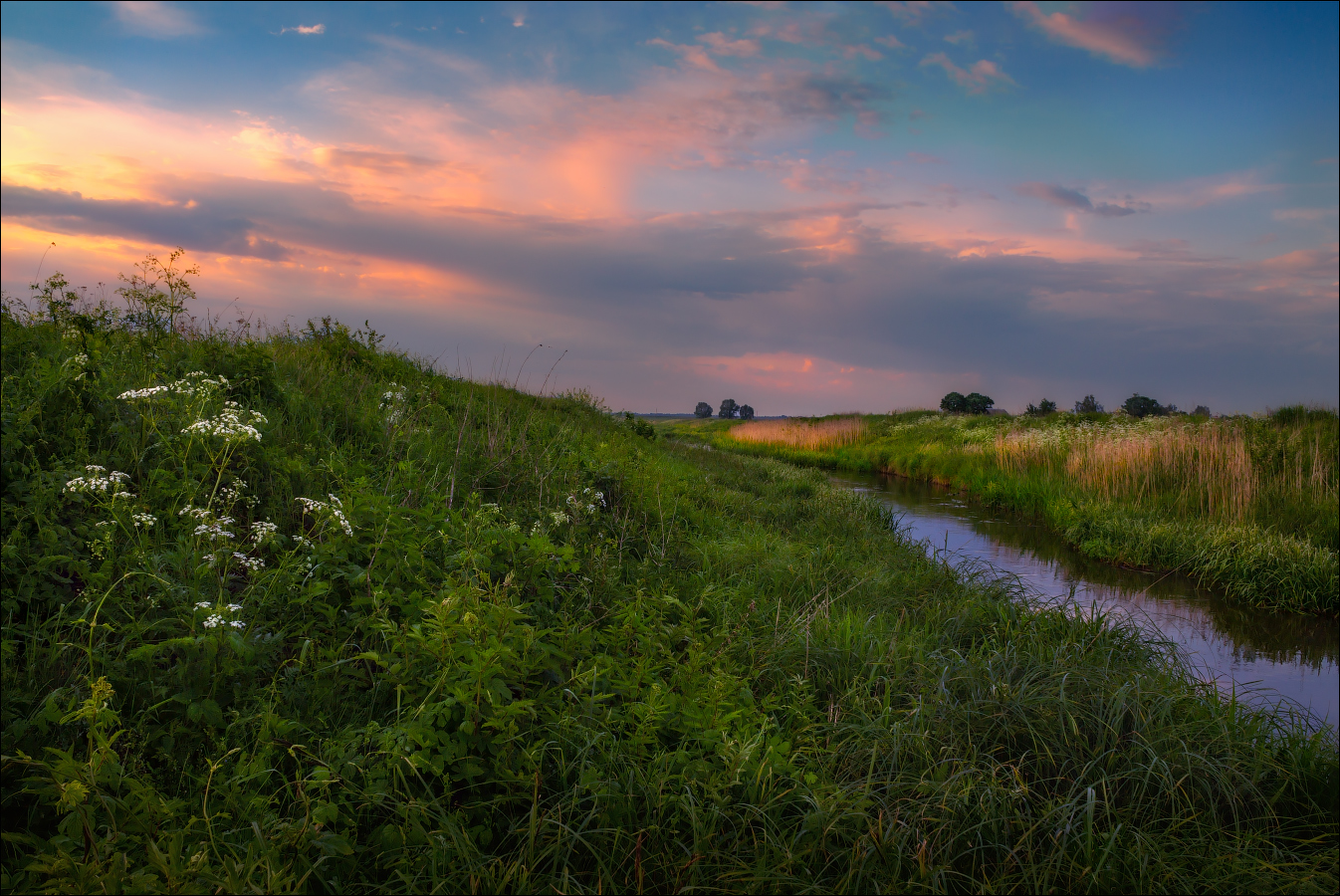 После летнего дождя