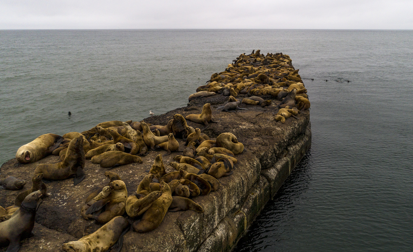 У моря, у синего моря