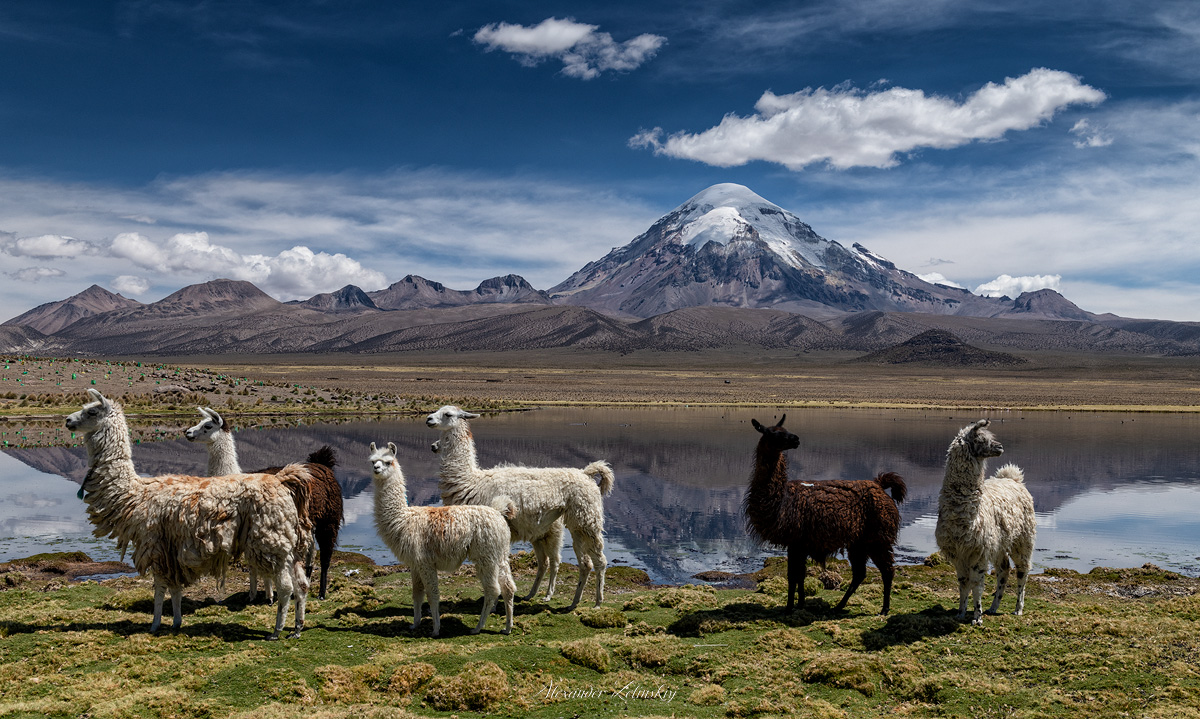 Открытка из Чили