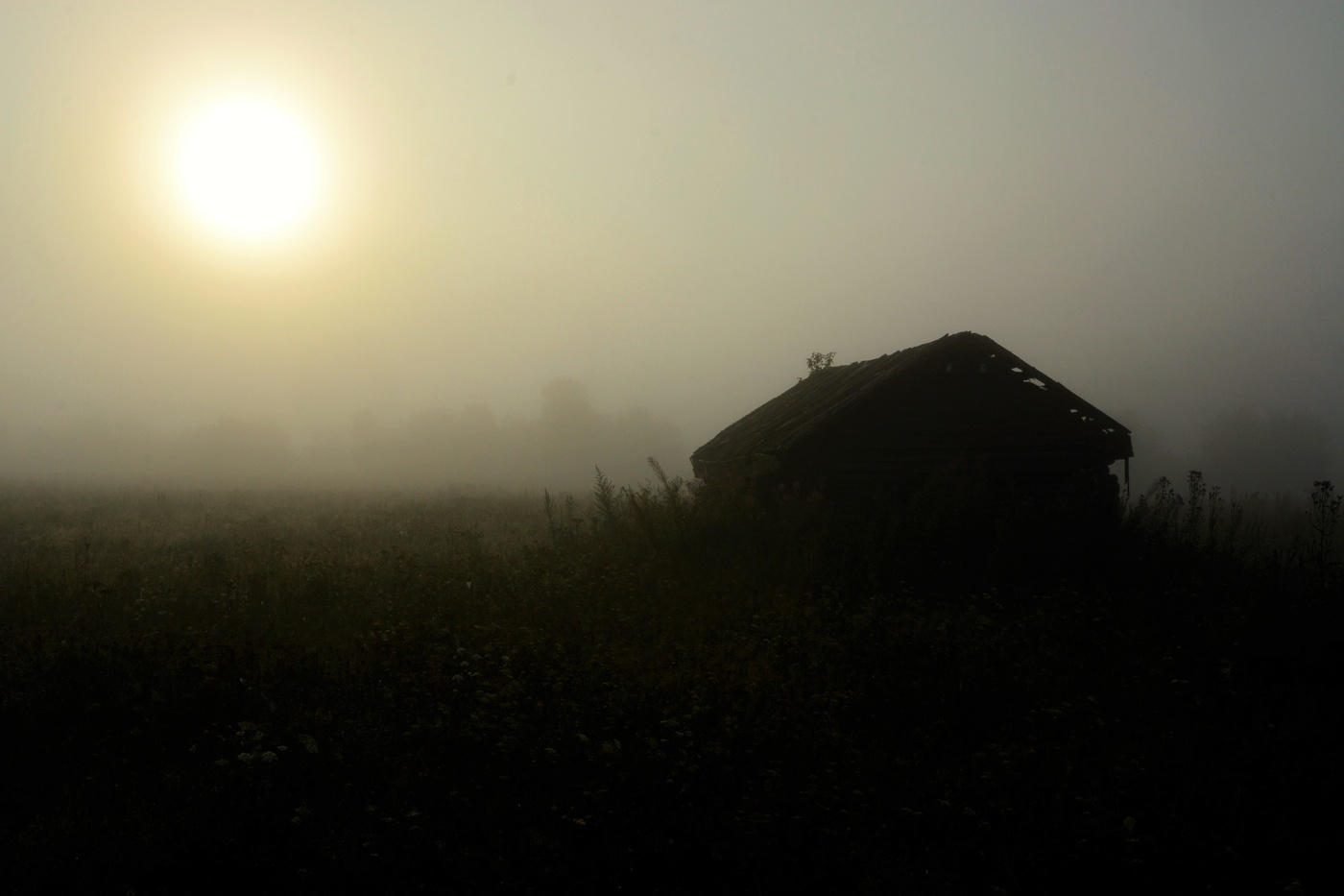 Начинался новый день ...