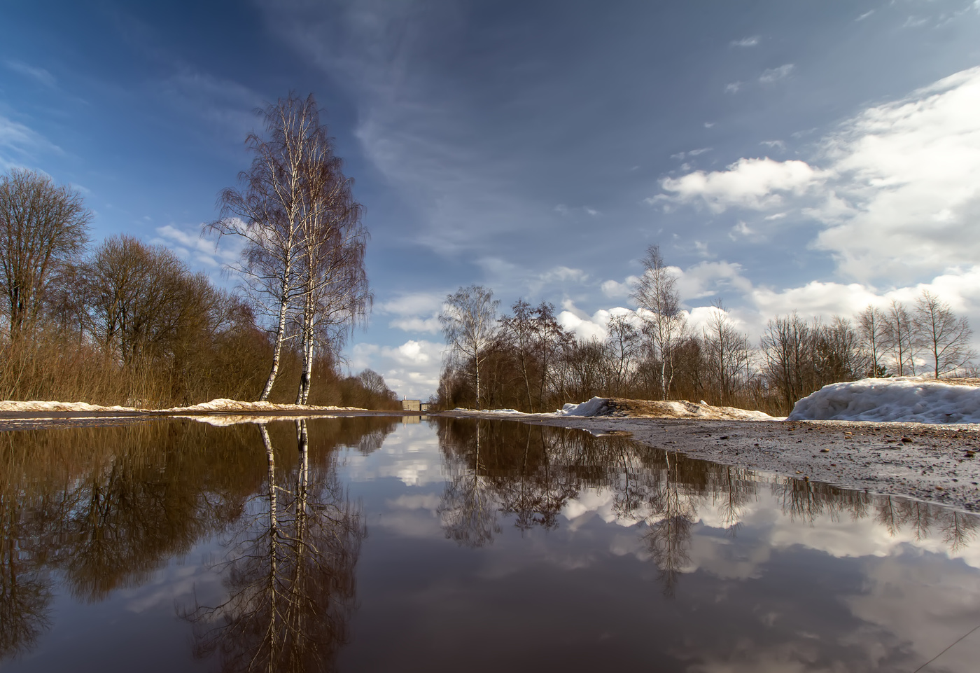 Весенние лужи...