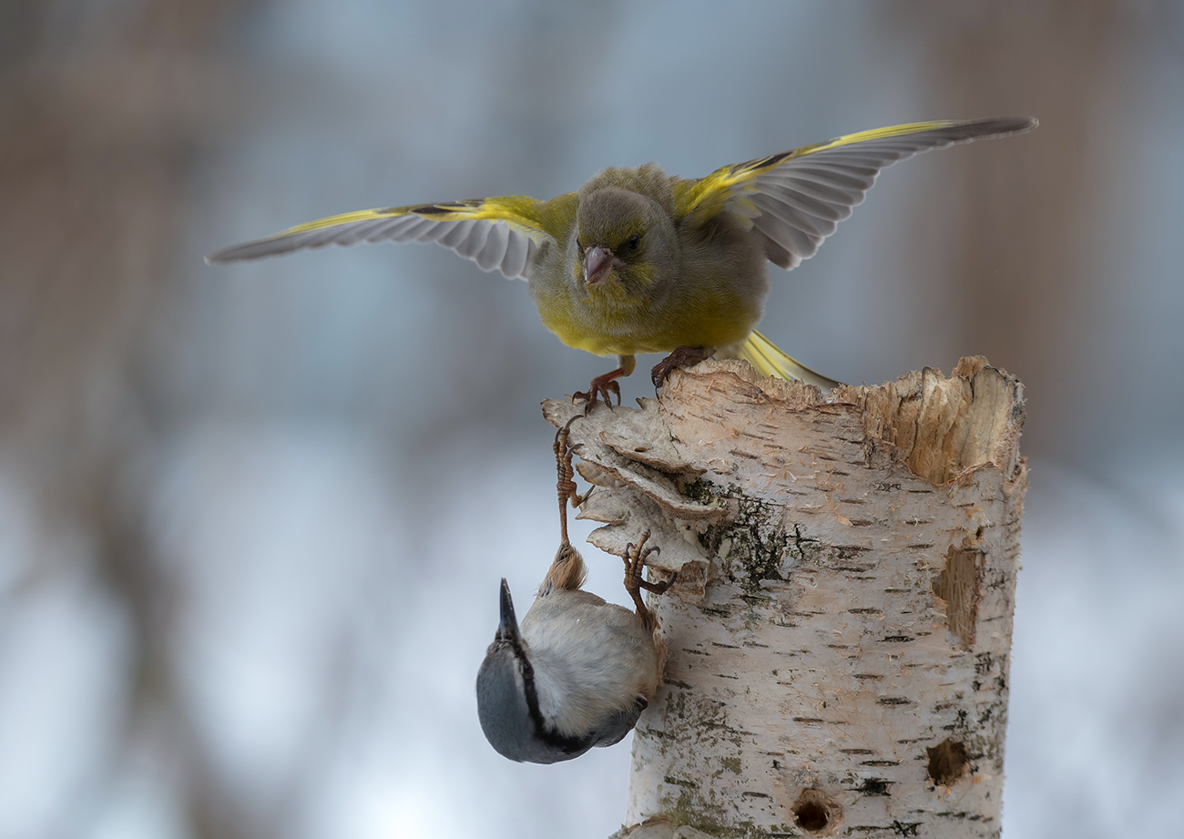 Что...страшно?