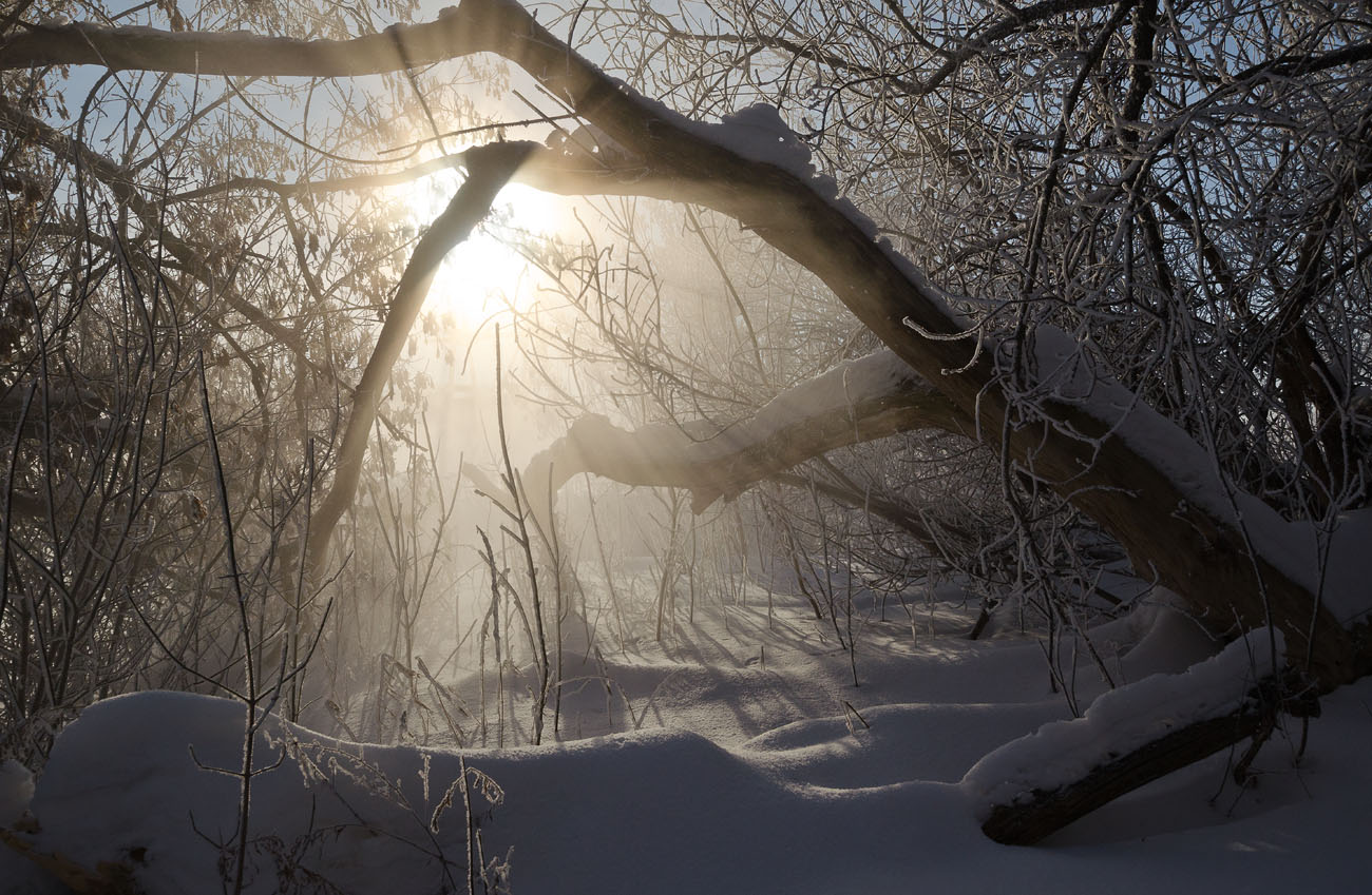 Таинственные дебри Косой Горы
