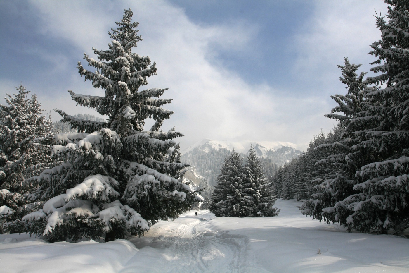 До свидания ,Зима !