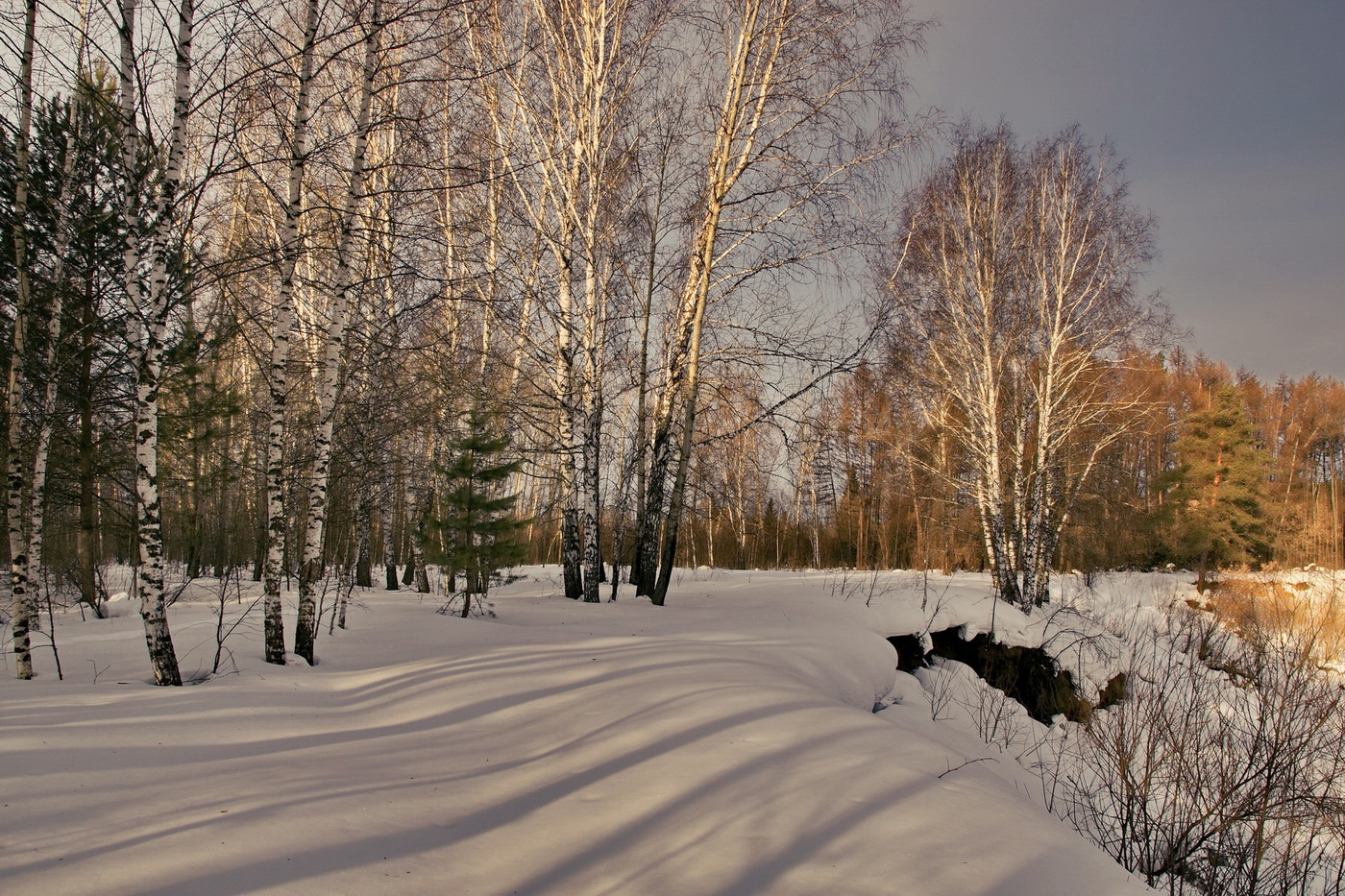Мартовский денёк.